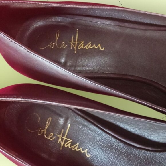 Cole Haan Womens Brown color Nike Air Pumps Size 7B - Picture 3 of 9